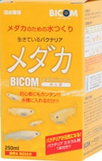 �Х����ࡡ������Х�����250����