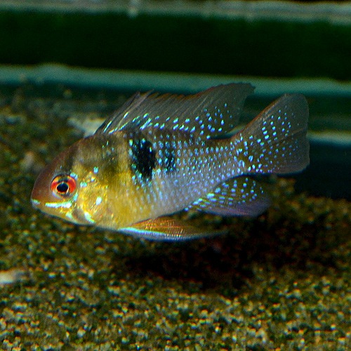 HB�֥롼��ࡡS��SM��������3ɤ��(Ǯ�ӵ�)