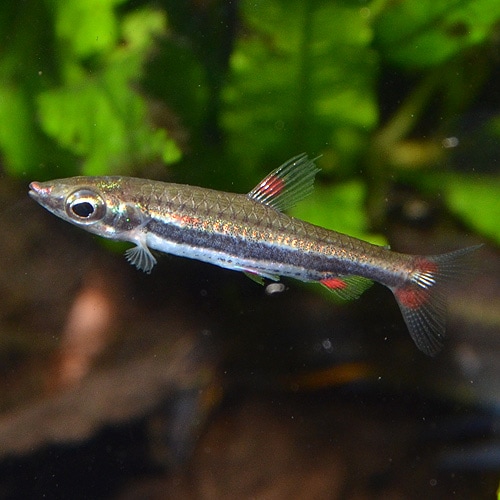 1_000000025787.jpg?1678209906