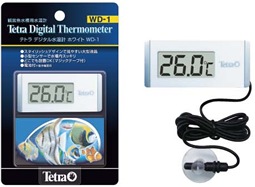 �ƥȥ顡�ǥ�����岹�ס��ۥ磻�ȡ�WD-1