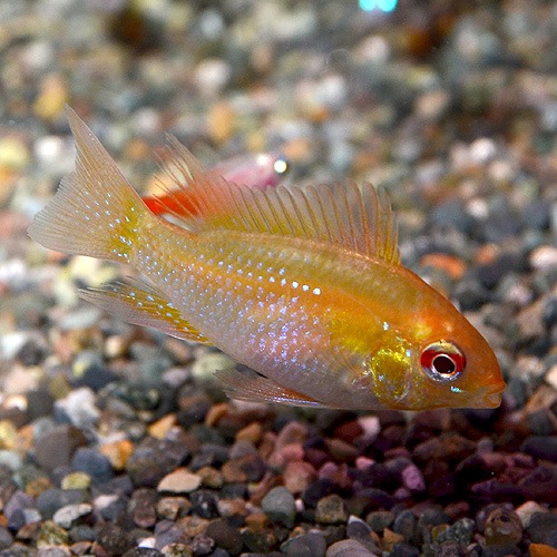 HB������ǥ��ࡡSM��M��������3ɤ(Ǯ�ӵ�)