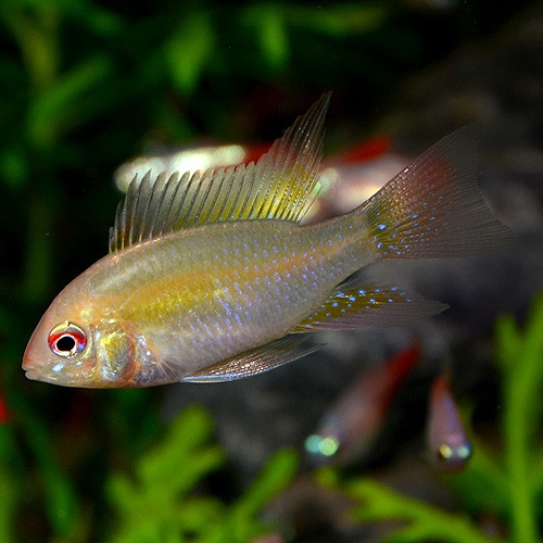 HB������ǥ��ࡡSM��M��������3ɤ(Ǯ�ӵ�)