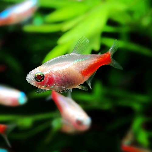 ����ӥΡ��ͥ���ƥȥ顡���10ɤ��8ɤ��2ɤ�����ӥ��ˡ�(Ǯ�ӵ�)