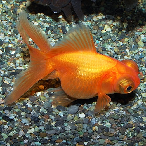 �ֽ��ܶ⡡��ף�ɤ��2ɤ��1ɤ�����ӥ���(����������)