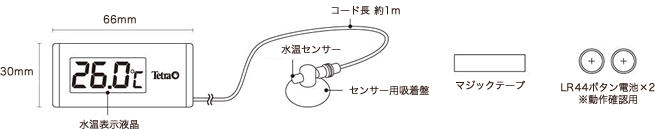 �ƥȥ顡�ǥ�����岹�ס��ۥ磻�ȡ�WD-1