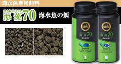 ���硼��󡡤Ҥ���ץ�ߥ��೤��70��80g��γ������M