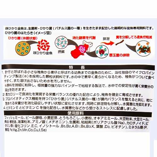 ���硼��󡡺�Ҥ������յ���100��