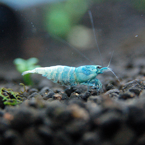 ����������������ס�2ɤ��Ǯ�ӵ���