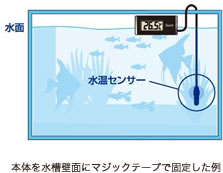 �ƥȥ顡�ǥ�����岹�ס��֥�å���BD-1