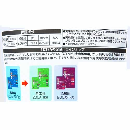 ���硼��󡡺�Ҥ������յ���100��