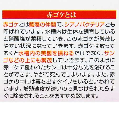 ���ߥϥ������������ �������å�100ml