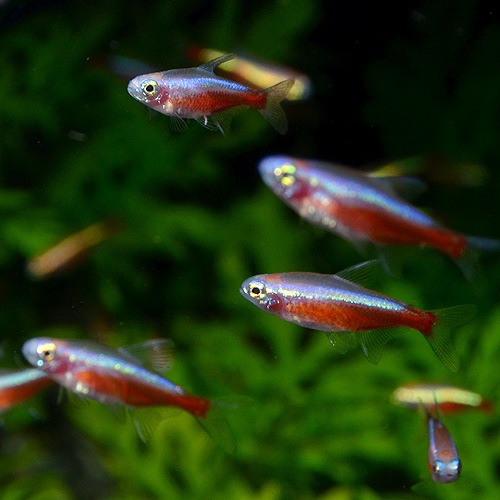 ӥΡʥƥȥ顡5ɤ(Ǯӵ)