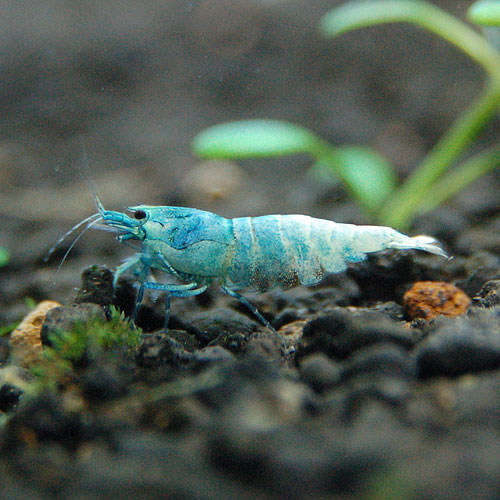 ����������������ס�2ɤ��Ǯ�ӵ���