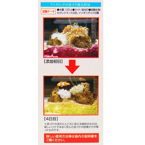 ���ߥϥ������������ �������å�100ml