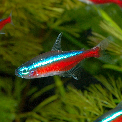 �������ʥ�ƥȥ顡 SM�����������30ɤ����27ɤ��3ɤ�����ӥ��ˡ�(Ǯ�ӵ�)