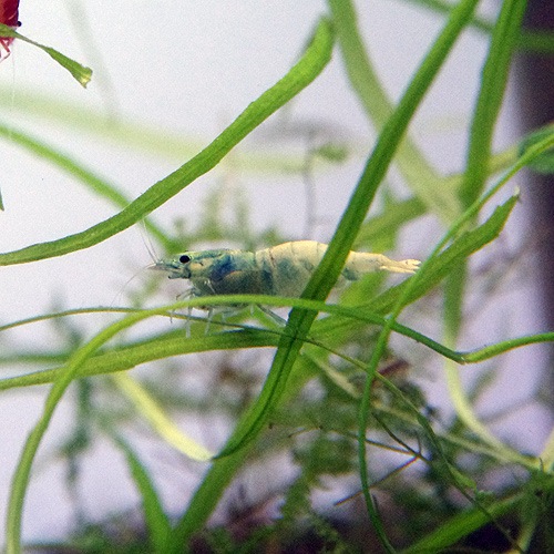 ����������������ס�2ɤ��Ǯ�ӵ���