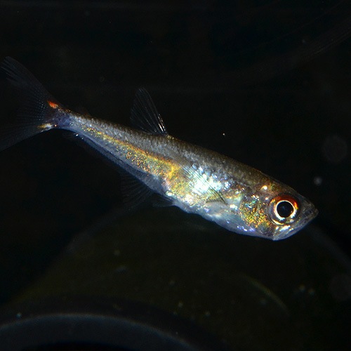 ������ʥƥȥ顡�ȥ�������֥롼��1ɤ��(Ǯ�ӵ�)