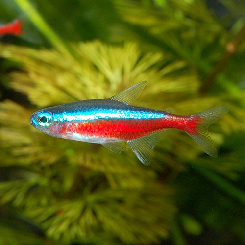 �������ʥ�ƥȥ顡 SM�����������30ɤ����27ɤ��3ɤ�����ӥ��ˡ�(Ǯ�ӵ�)