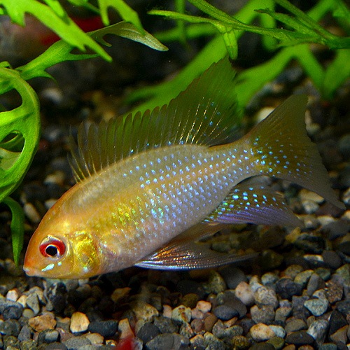 HB������ǥ��ࡡS��SM��������3ɤ��(Ǯ�ӵ�)