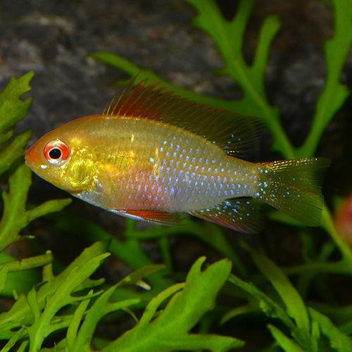 HB������ǥ��ࡡSM��M��������1ɤ(Ǯ�ӵ�)