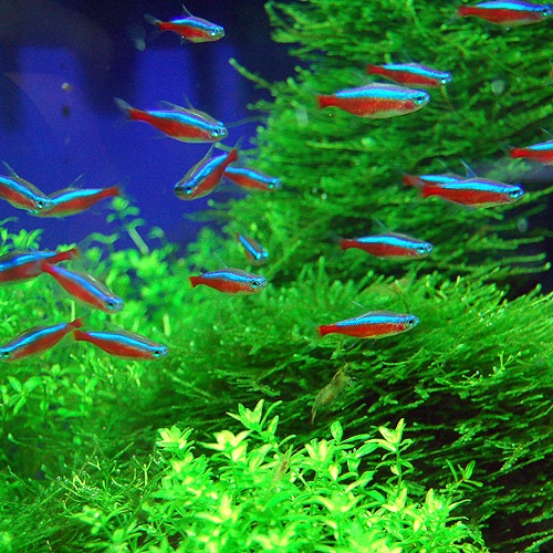 �������ʥ�ƥȥ顡 SM��������1ɤ��(Ǯ�ӵ�)