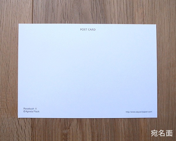 �����͡������ե��å����ݥ��ȥ����ɡ��Х���ڡ���Rosebush II��