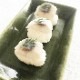 ̲˥ޥ͡ץ졼ʥե150g