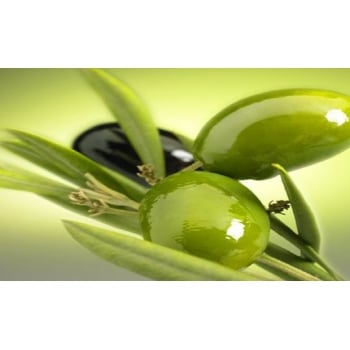 業務用入浴剤 オリーブ 10kg ｜ アサヒ商会