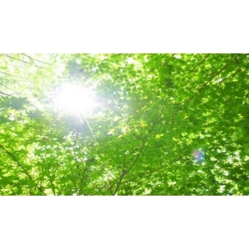 業務用入浴剤 新緑 10kg ｜ アサヒ商会