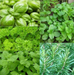 業務用入浴剤 西洋薬草 10kg ｜ アサヒ商会