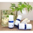 精油 No74　アジアンブルー　100ml / 250ml / 450ml