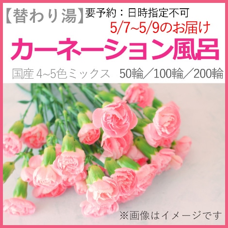 【期間・数量限定】業務用花風呂 生カーネーション　約50輪～ (日時指定不可)