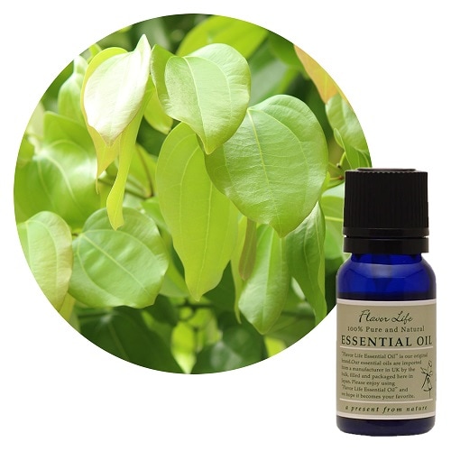 受注生産】フレーバーライフ エッセンシャルオイル 100ml パインニードル