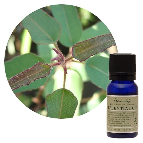 フレーバーライフ エッセンシャルオイル 100ml ローズマリー