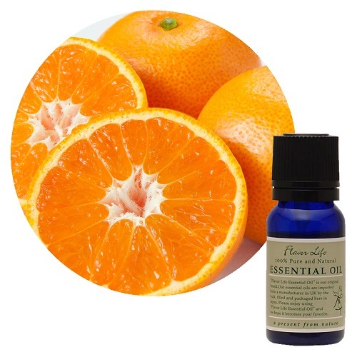 オイル増量中 100ml】(送料無料)アロモア本体＋オレンジスイート