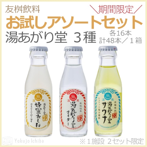 マスクメロンサイダー 300ml 24本