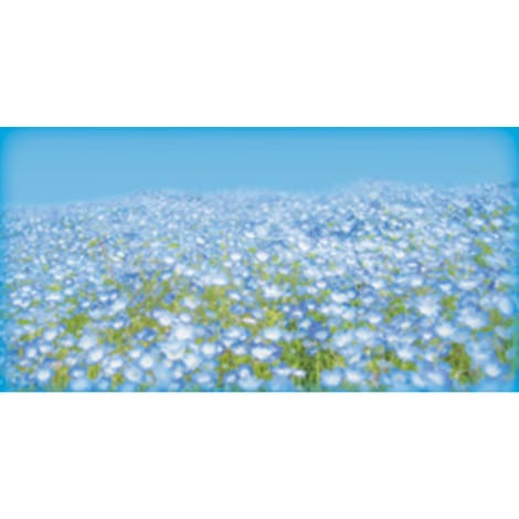 業務用入浴剤  ネモフィラ 10kg ｜ アサヒ商会