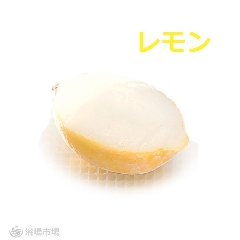 （メーカー価格確認中のため一時休売）【フルーツシャーベット】姿づくりシャーベット