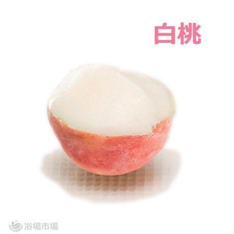 （メーカー価格確認中のため一時休売）【フルーツシャーベット】姿づくりシャーベット