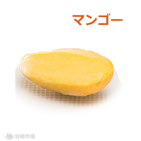 （メーカー価格確認中のため一時休売）【フルーツシャーベット】姿づくりシャーベット