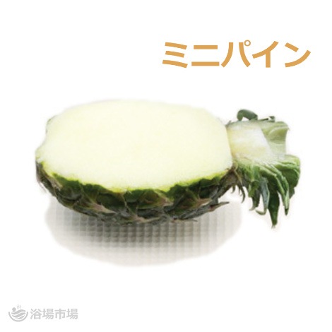 （メーカー価格確認中のため一時休売）【フルーツシャーベット】姿づくりシャーベット