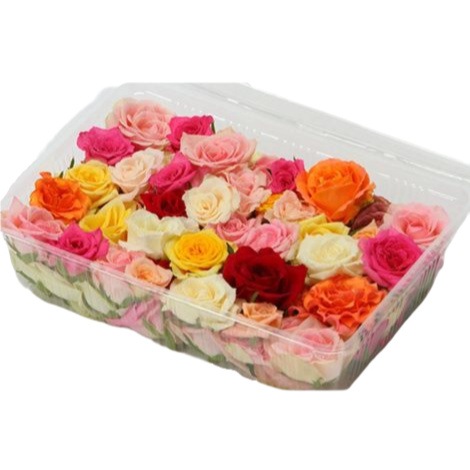 業務用花風呂の生バラ（薔薇）　約60輪