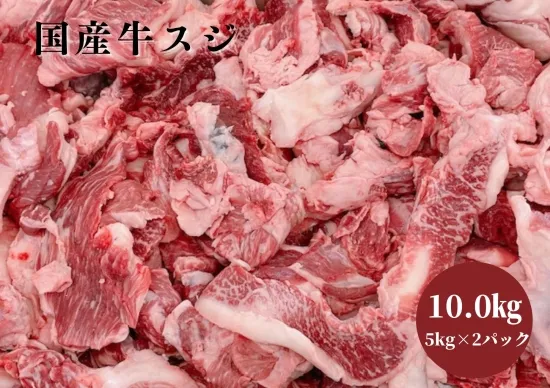 【定番】国産牛スジ10.0㎏　(5kg×2パック)※送料100サイズ適用　