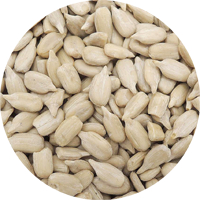 ＜箱＞高オレイン酸食用ひまわりの種 生　22.68㎏