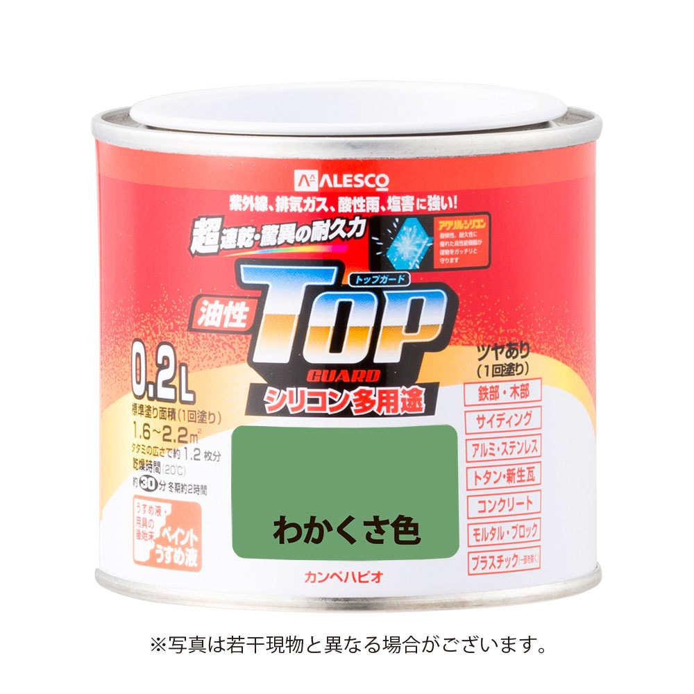 カンペハピオ 油性トップガード 0．2Ｌ わかくさ色