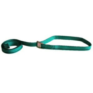 エバープラウド GNKO ベルト荷締機 カムバックル付 EGC20018E エンドレス 25mm