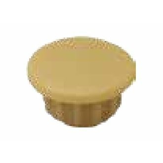 ダンドリビス　穴キャップ　8mm　Cボックス　ナチュラルC　A8-14