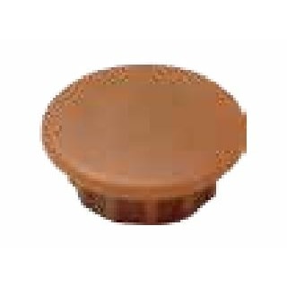 ダンドリビス　穴キャップ　10mm　Cボックス　ブラウン　A10-6