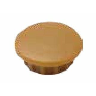 ダンドリビス　穴キャップ　10mm　Cボックス　ライトブラウン　A10-7