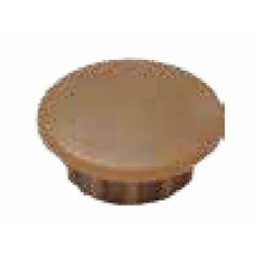 ダンドリビス　穴キャップ　10mm　Cボックス　茶　A10-8